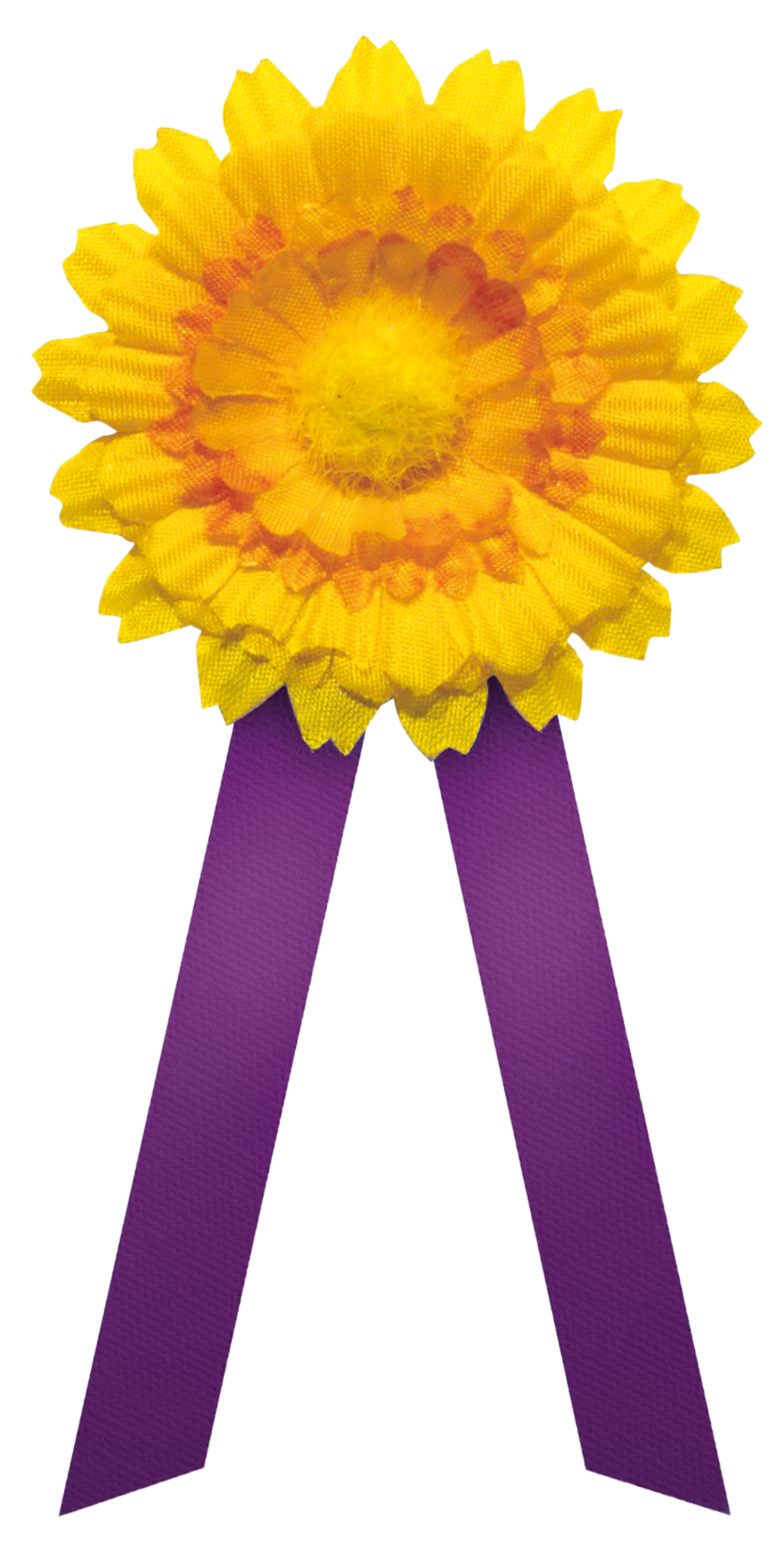 cesky den proti rakovine 2022